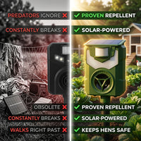 Key Differences
